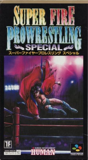 Super Fire Pro Wrestling Special ROM